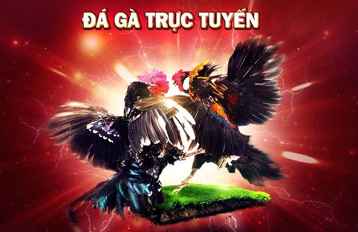 EUBET, EUBETVN, EU9, Eu9vn, eu9vn9, eu9vnd, eu9vietnam
